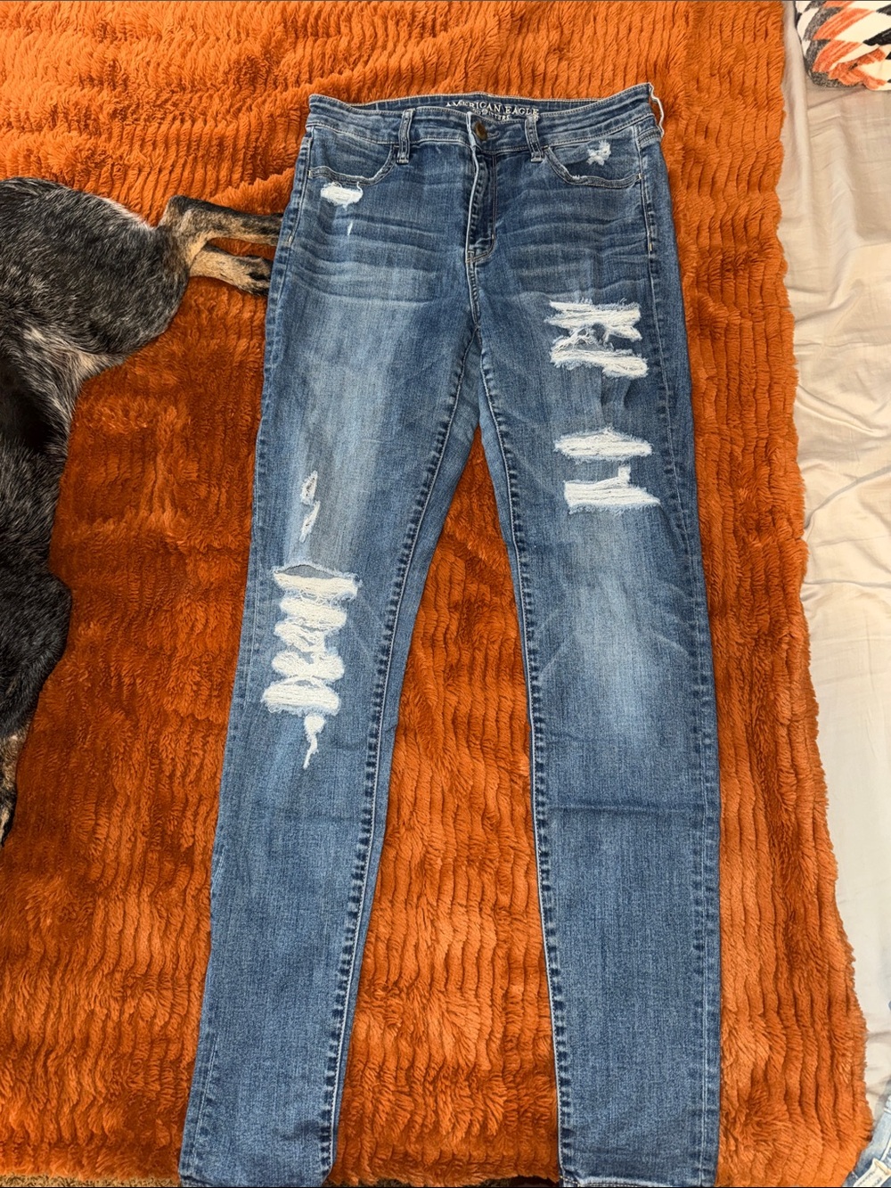 A&E high rise jegging: 10XL